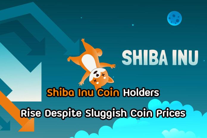 Shiba Inu news