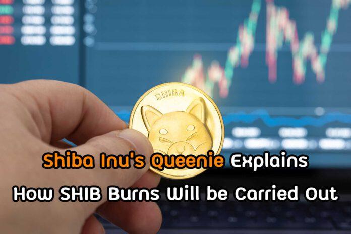 Shiba Inu’s Queenie Explains How SHIB Burns Will be Carried Out