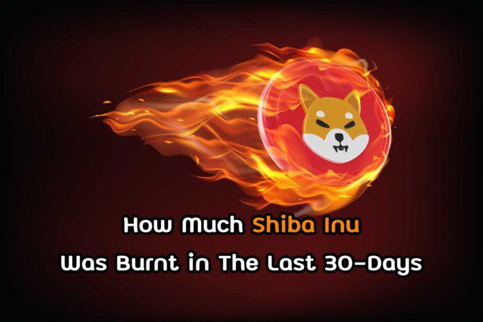 How Much Shiba Inu Was Burnt in The Last 30-Days