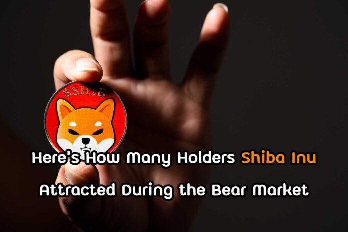 Here’s How Many Holders Shiba Inu Attracted During the Bear Market