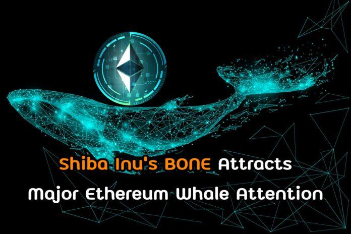 Shiba Inu’s BONE Attracts Major Ethereum Whale Attention