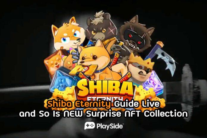 Shiba Eternity Guide Live and So Is NEW Surprise NFT Collection