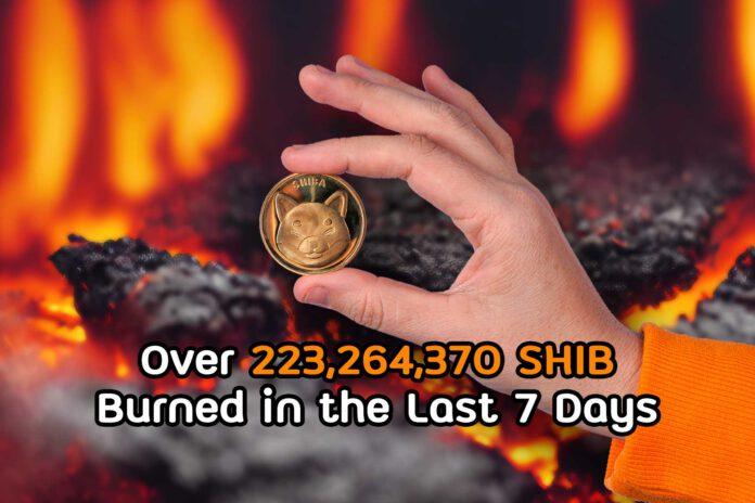Over 223,264,370 SHIB Burned in the Last 7 Days