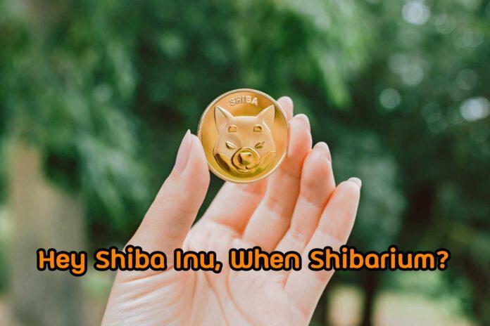 Hey Shiba Inu, When Shibarium?