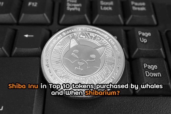 Shiba Inu in Top 10 tokens purchased by whales and When Shibarium?