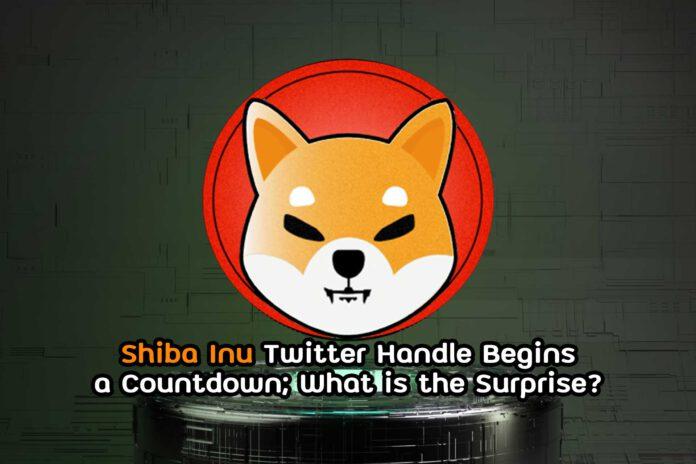 Shiba Inu Twitter Handle Begins a Countdown; What is the Surprise?